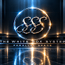 THE WHITE-BOX SYSTEM PARALLEL SPACE